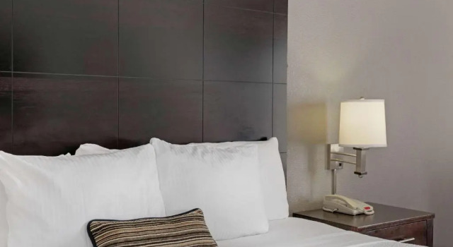 Двухместный номер Deluxe Garner Hotel Houston - Westchase by IHG