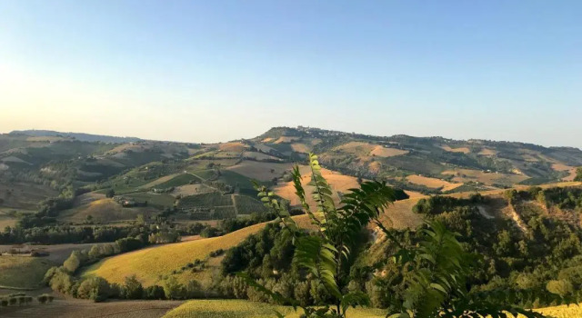 Апартаменты Moresco Agriturismo