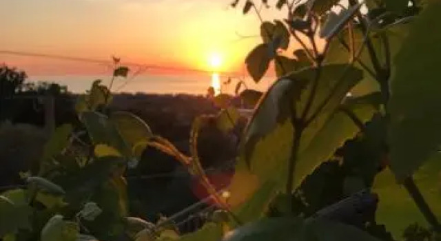 B&B Il Tramonto, Buchen Sie Hotel Capo dʼOrlando Sizilien