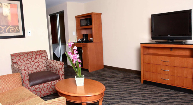 Двухместный полулюкс Hilton Garden Inn Chesapeake/Suffolk