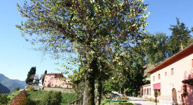 Апартаменты Agriturismo la Torre