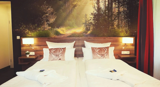 Двухместный номер Comfort с видом на горы Hotel Mein Bergblick