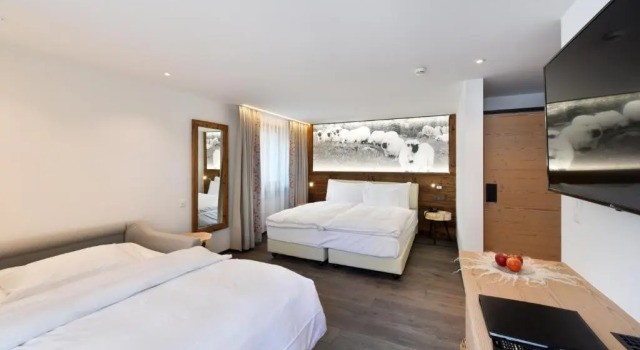 Семейный номер Standard Europe Hotel & Spa