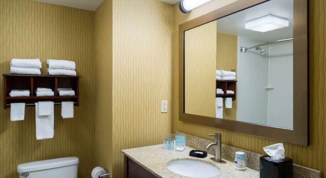 Номер Standard Hampton Inn Danville