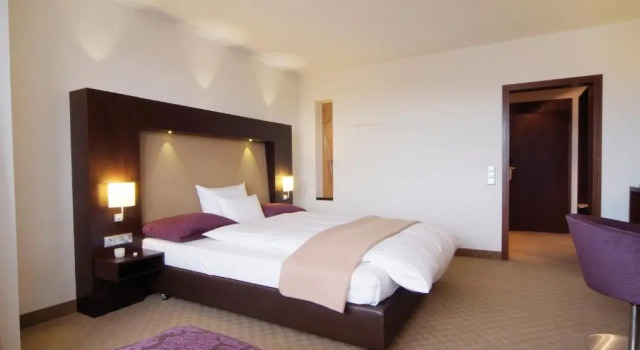 Одноместный номер Comfort Wellings Parkhotel