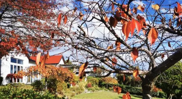 Kelvin Garden Villa, Забронировать Вилла Kelvin Heights 