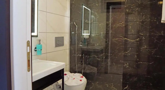 Двухместный номер Standard Botanik Felizya Hotel