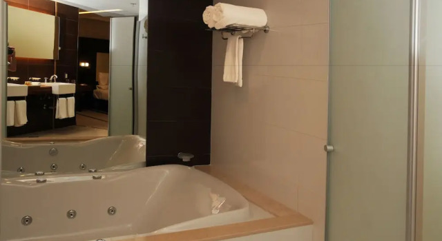 Номер Executive Hotel Del Bono Park