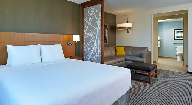 Двухместный номер с видом на город Hyatt Place Toronto Mississauga and Luxe Convention Centre