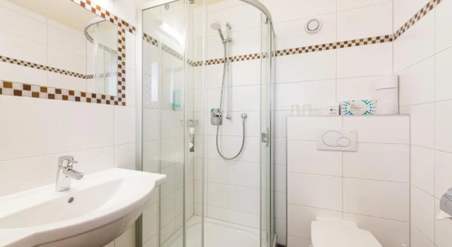 Трёхместный номер Standard Alpenhotel Ernberg