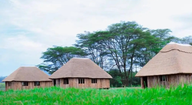 Standard cottage Forever Eco Resort