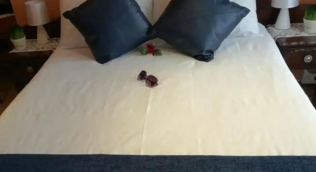 King Guest Lodge