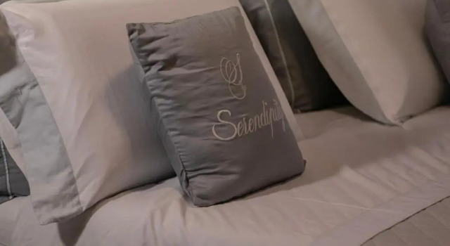Camera Standard Serendipity B&B