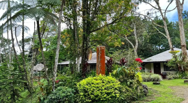 Двухместный номер Deluxe Eden Nature Park and Resort