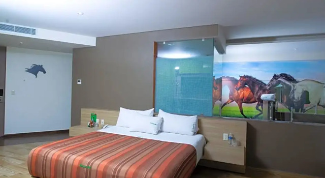 Suite doppia Hotel Xcoco Inn