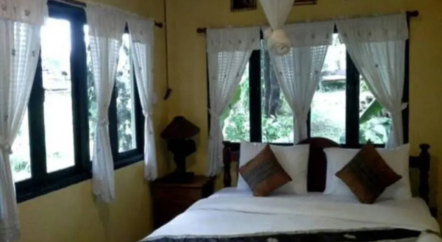 Jungle View Homestay
