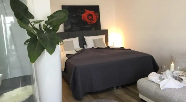 Номер Standard Hotel Zum Berggarten