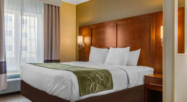 Люкс Comfort Suites Corpus Christi Central