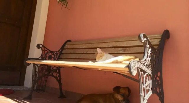 Bed and breakfast Charlie Sardinia