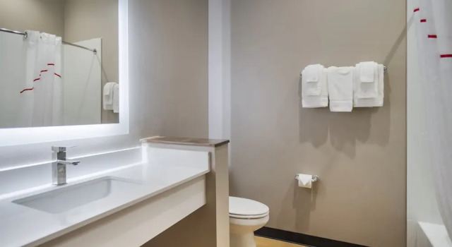 Двухместный номер Superior Red Roof Inn Lancaster, TX