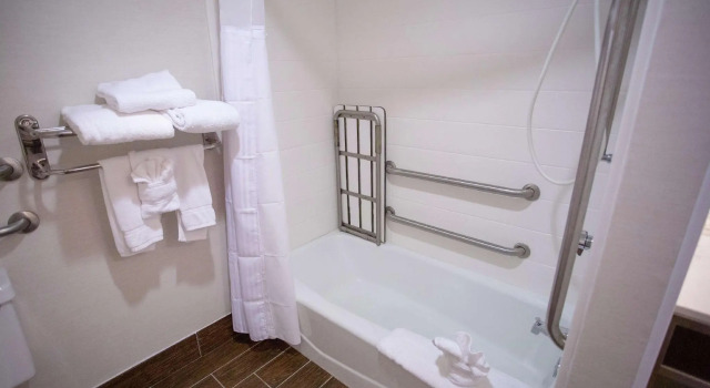 Двухместный полулюкс Hilton Garden Inn Temple Medical Center