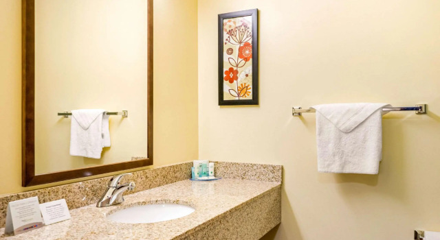 Двухместный люкс Quality Inn & Suites