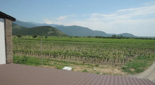Номер Standard Shaloshvilis Cellar Hotel