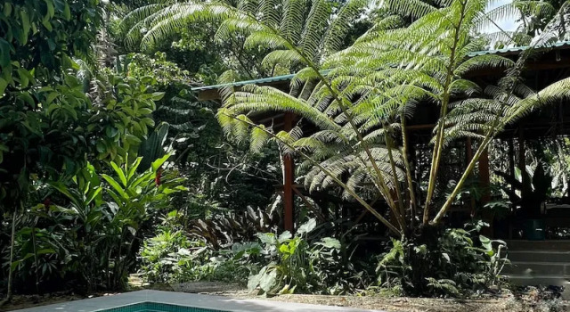 Коттедж Geckoes Lodge