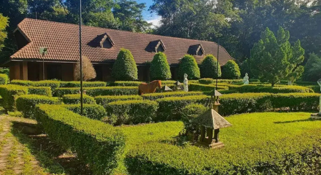 Номер Economy Kirirom Hillside Resort