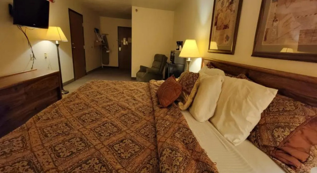 Standard Zimmer Single Tree Inn