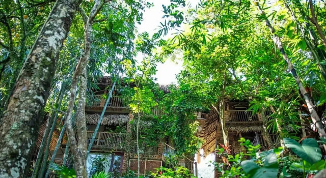 Двухместный номер Deluxe Pu Luong Jungle Lodge