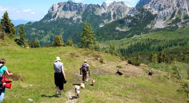 Коттедж Small Pet-friendly Holiday Park With Nassfeld Card in High Season