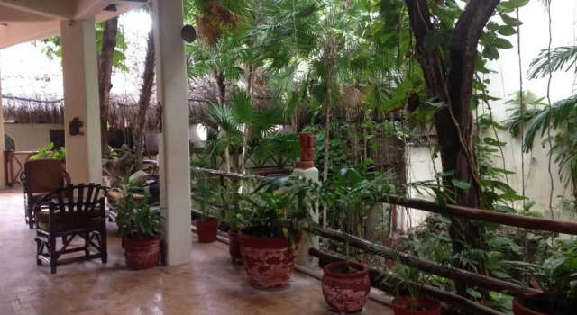 Апартаменты One Bedroom Apt In The Heart Of Playa Only One Block to the Beach!