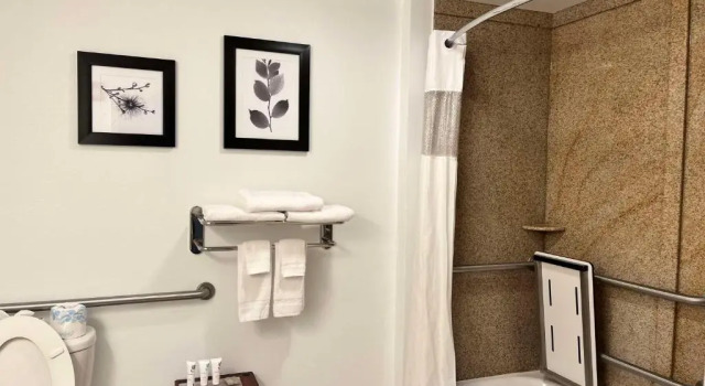 Номер Executive Country Inn & Suites by Radisson, Harrisburg - Hershey West, PA