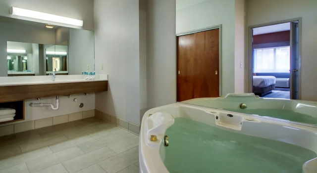 Люкс c 1 комнатой Holiday Inn Express Milwaukee North Brown Deer/Mequon by IHG