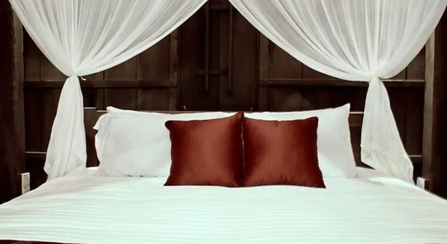Вилла Superior Terrapuri Heritage Resort, Penarik