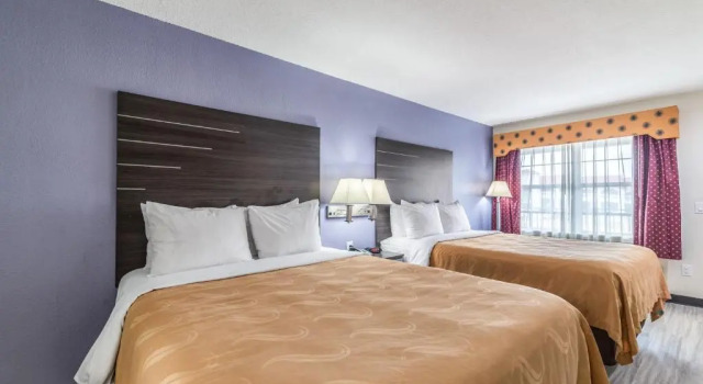 Standard- værelse Quality Inn & Suites