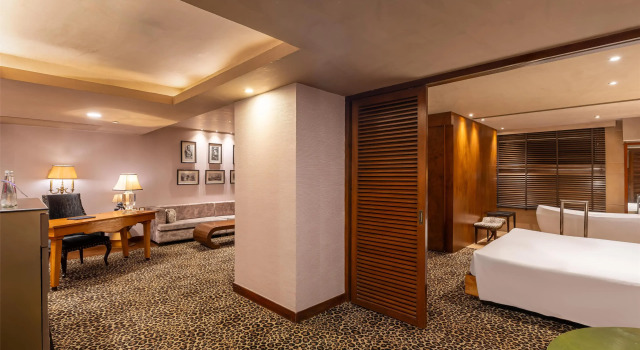Люкс Executive Radisson Blu Hotel, Ludhiana