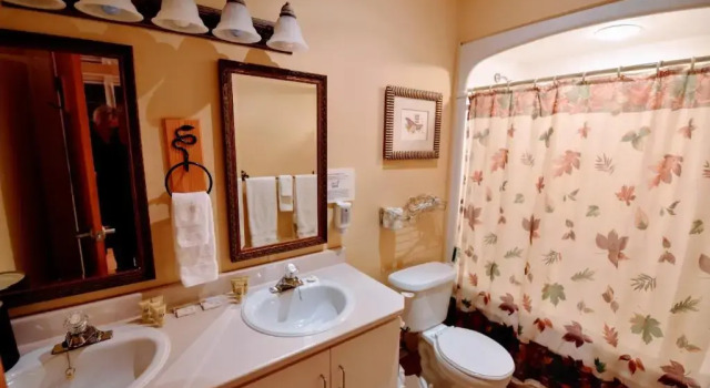 Полулюкс Burleigh Falls Inn