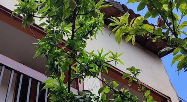 Hospedaje Chaska Pisac, Book Hotel Pisac Sacred Valley