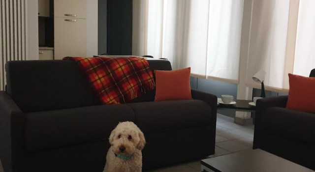 Клубные апартаменты c 1 комнатой Appartamenti tra Lago e Montagna CASA IDEALE LECCO