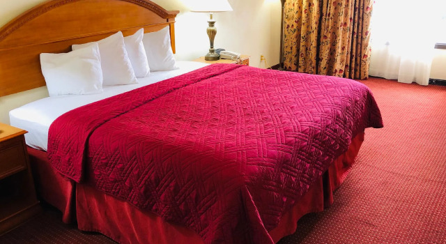Двухместный номер Standard Wyndham Garden Atlanta Airport