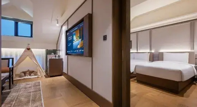 Люкс Manxin Mansion Shanghai International Tourism and Resorts Zone