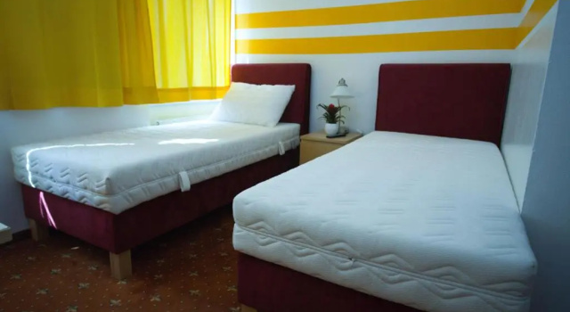 Standard Twin room Hotel Alser