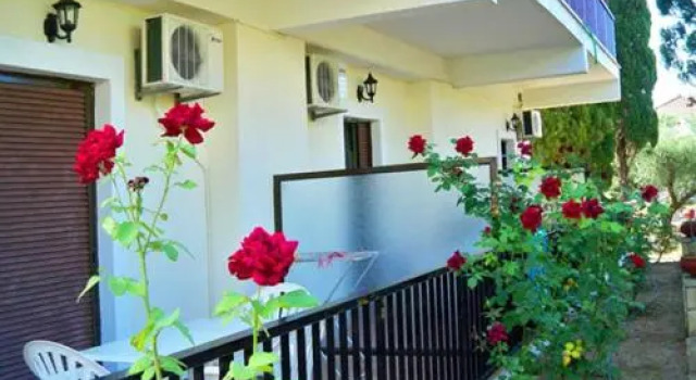 Red Rose Garden