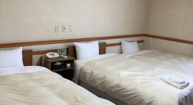 Двухместный номер Comfort Hotel Tsukuba Hills Gakuen-odori