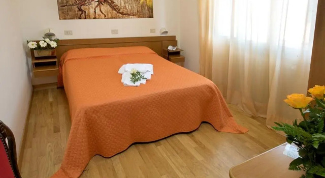 Двухместный номер Standard Hotel Roma