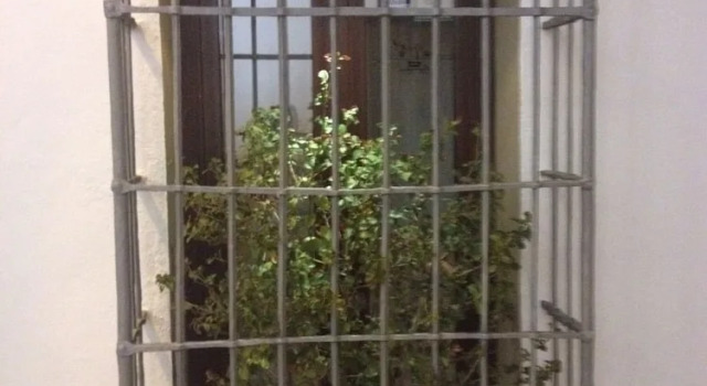 Apartamentos La Ermita