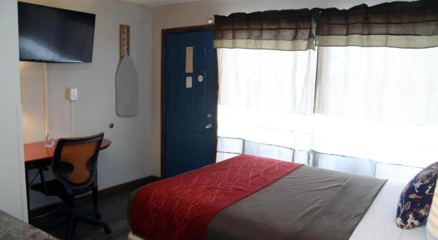 Одноместный номер Standard South T Motel