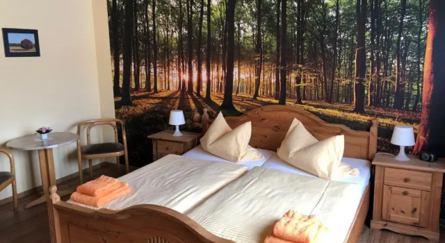 Двухместный номер Standard Hotel Schützenhaus